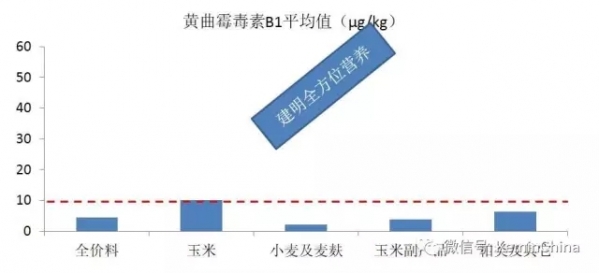 13.webp.jpg