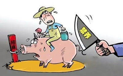 农业部司长：下一步重资打造东北地区