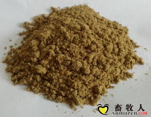 鱼粉.jpg