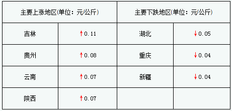 企业观望心态浓 猪价持续反弹或受阻