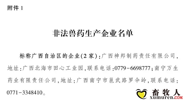 1.webp (1).jpg