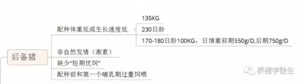 4.webp.jpg