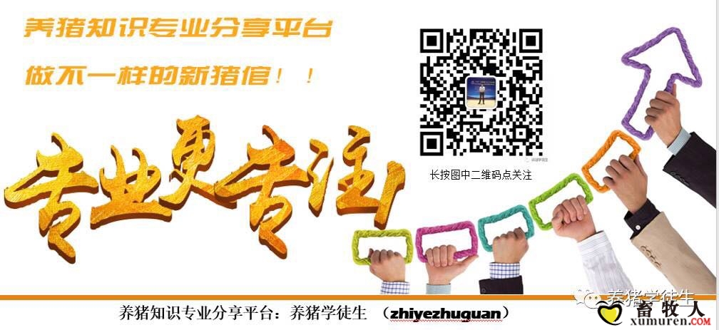 养猪学徒生.jpg