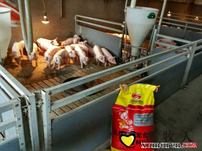 亚昊饲料