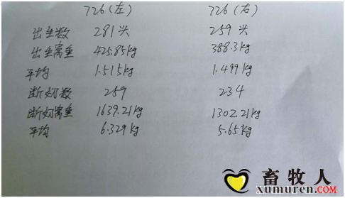实验结果数据统计