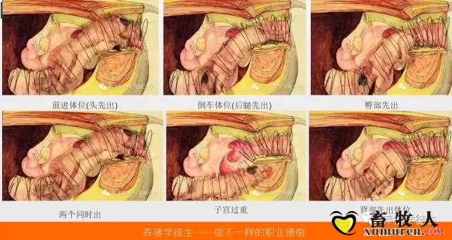 12.webp.jpg