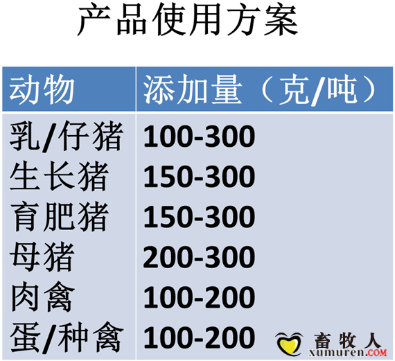 金河精油_副本.png