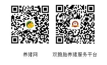 20170626162144.jpg