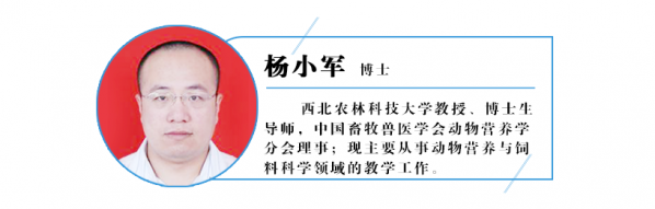 杨小军.png