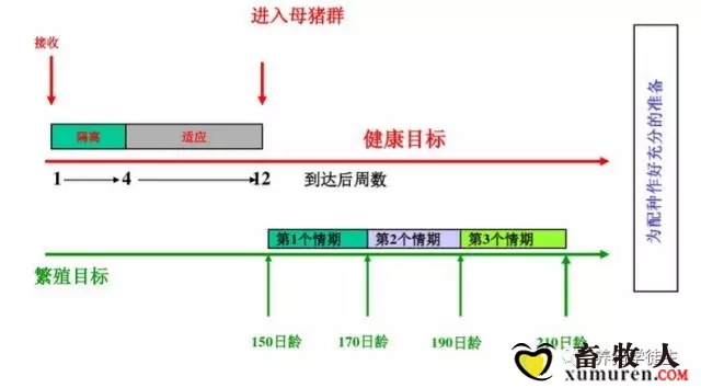 3.webp.jpg