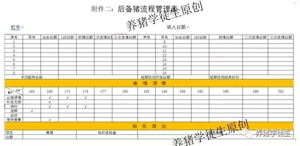 后备猪发情管理及记录