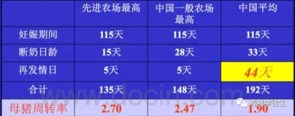 提高母猪断奶后发情比例