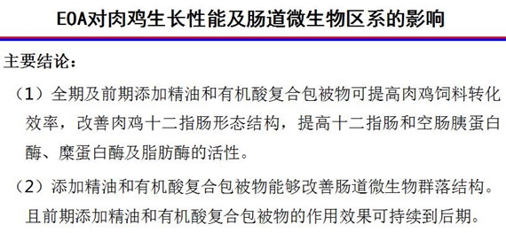 杨11_副本.jpg