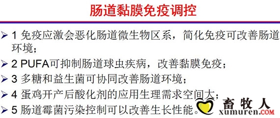 杨12_副本.jpg