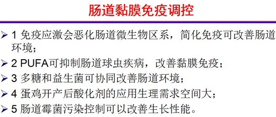 杨12_副本.jpg