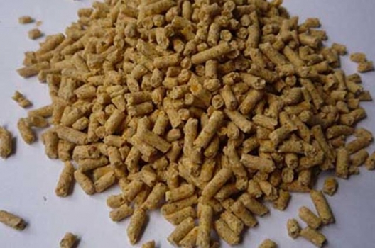 2c350001ed44677199a0.jpg