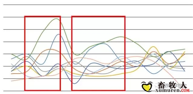 10.webp.jpg
