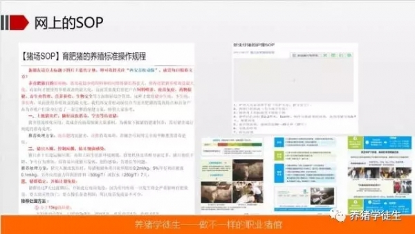 2.webp.jpg
