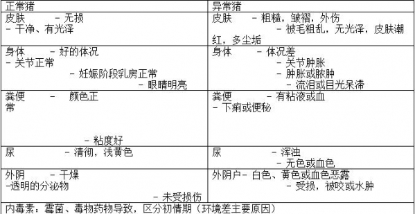 后备母猪健康检查观察要点