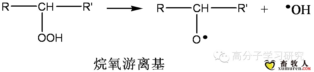 0_5_副本.jpg
