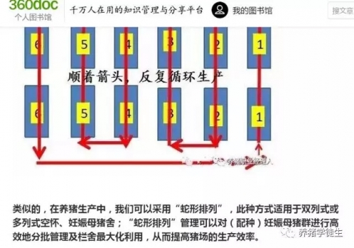 养猪技术吧：妊娠蛇形（1）