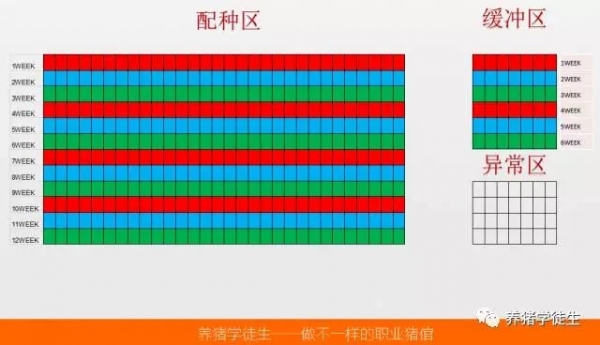 养猪技术吧：妊娠蛇形（2）