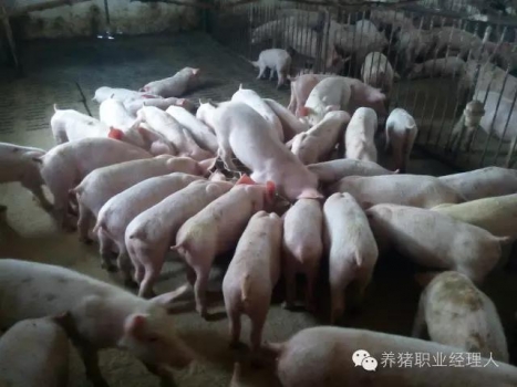 必修课 | 超全面的保育舍管理制度（3）