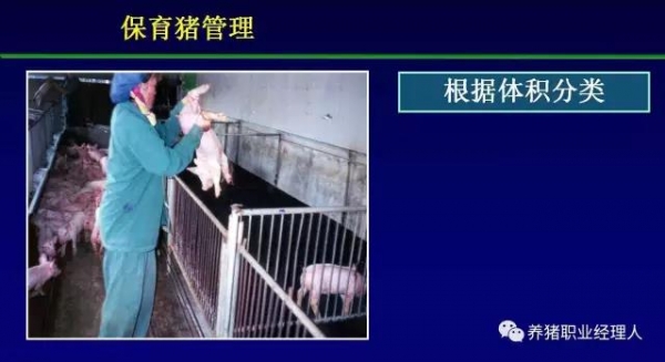 必修课 | 保育舍的管理（多图）