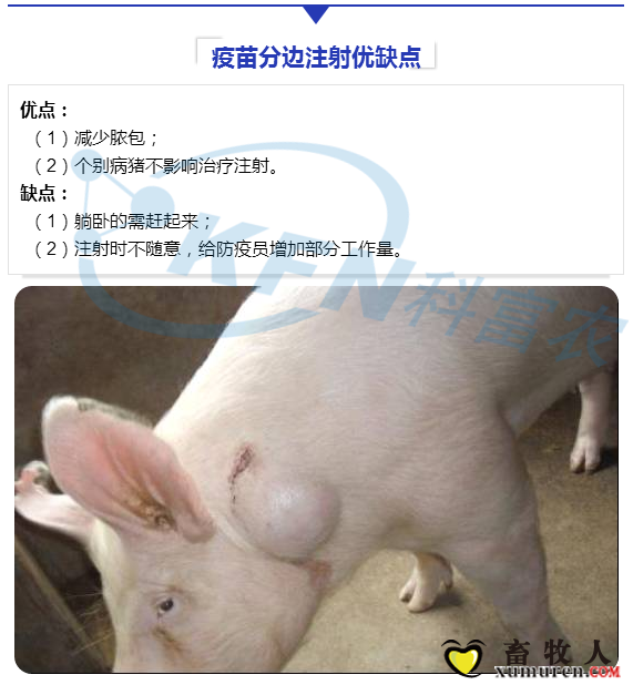 29_副本.png