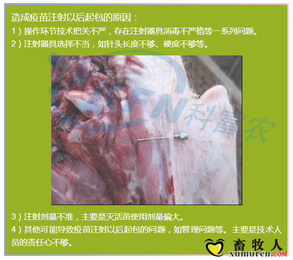 30_副本.png