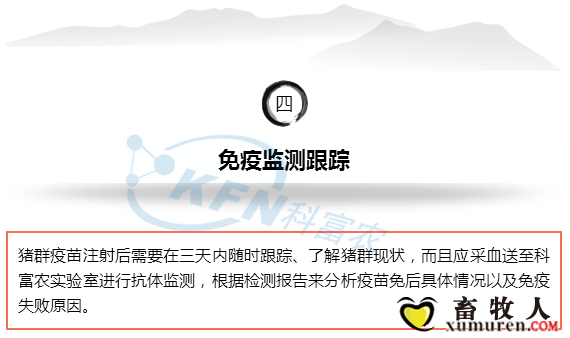 35_副本.png