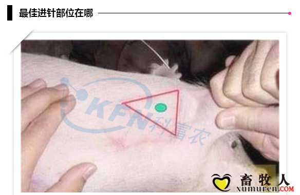 39_副本.png