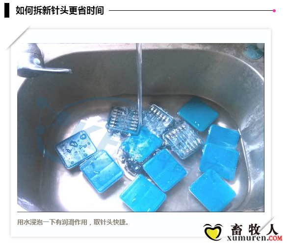 41_副本.png