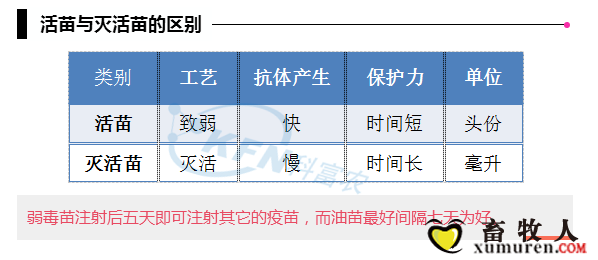 44_副本.png