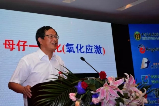 印遇龙院士：母仔猪一体化的系统研究（氧化应激）