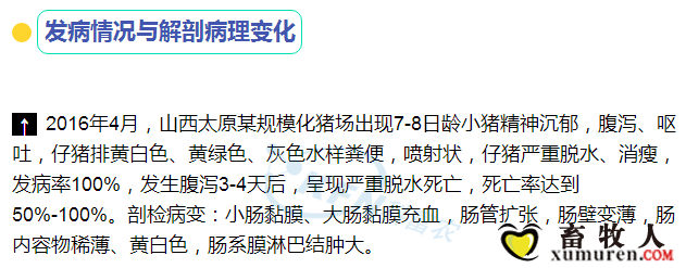 1_副本.png