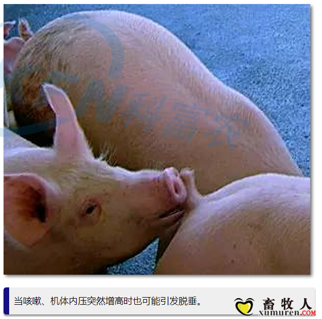9_副本.png