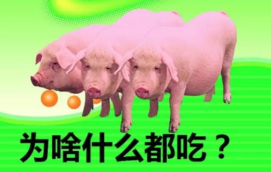 2.webp (1).jpg