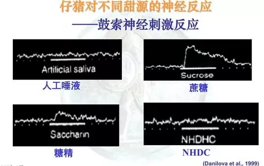 3.webp (1).jpg