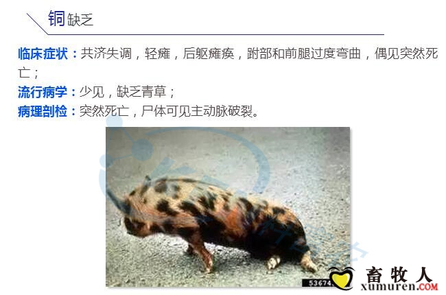 1_副本.jpg