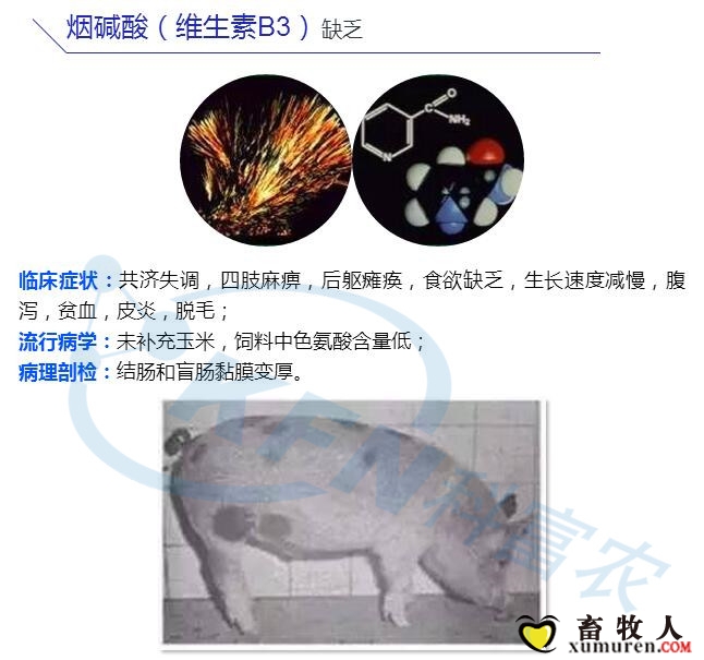 4_副本.jpg