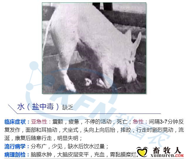 17_副本.jpg