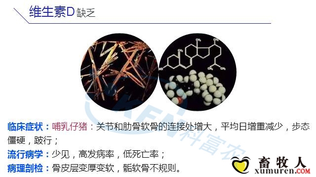 16_副本.jpg