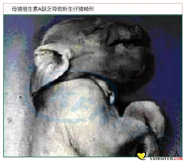 15_副本.jpg