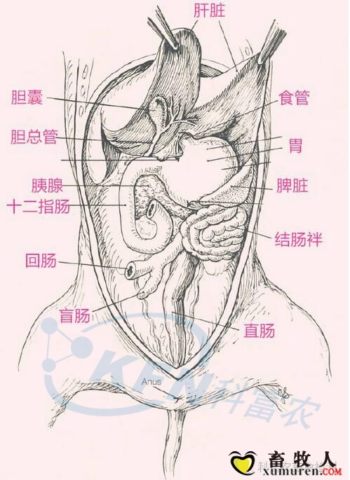 4_副本.jpg