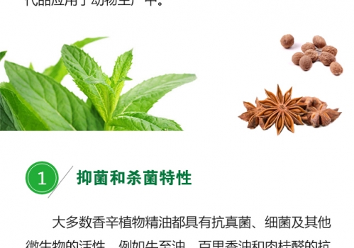 植物精油的生物学功能0719_02.jpg