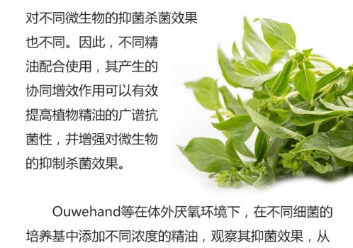 植物精油的生物学功能0719_04.jpg