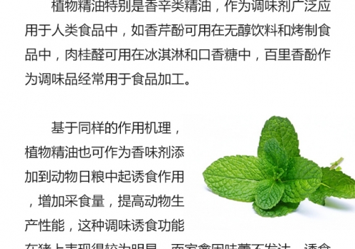 植物精油的生物学功能0719_09.jpg
