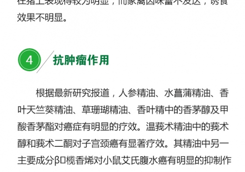植物精油的生物学功能0719_10.jpg