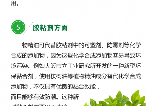 植物精油的生物学功能0719_11.jpg